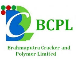 Domestic polymer producer logo